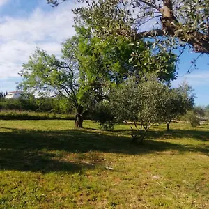 Campeggio S&m, Sveti Filip i Jakov